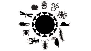 Virosphere