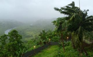 A view showing trees and other greenery being battered by strong wind during Cyclone Winston on 20 February 2016 in Suva, Fiji.