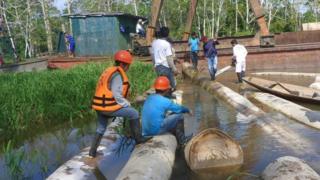 Madera y trabajadores.