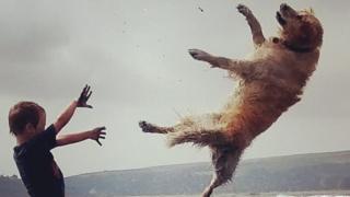 Un niño haciendo volar a un perro.