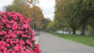 Parc