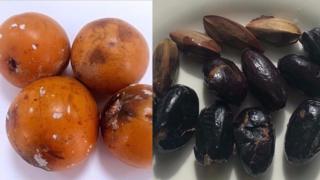 Ụdara na ube mgba
