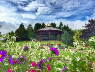 Garden flowers