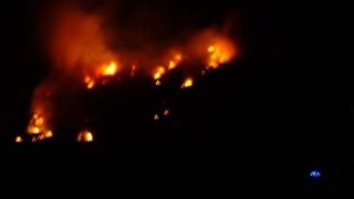 A member of the public took a photo of the gorse fire, showing the blue lights of a fire engine in the foreground