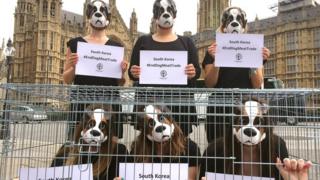 Anti-dog meat campaigners at Westminster