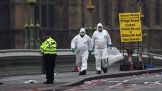 Maafisa wa polisi wa uchunguzi wa mwili katika daraja la Westminster Bridge