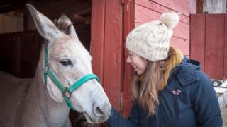 Zelda the zonkey and her rescuer Ashleigh Benton