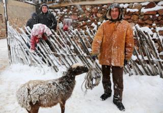 Козлодрание