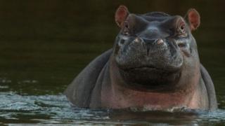Picha yamponza mtalii