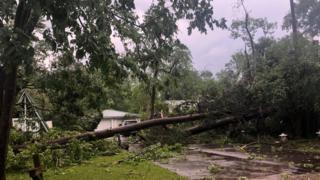 Trees fallen in an aftermath of severe storms and a tornado are seen in Onalaska, Texas