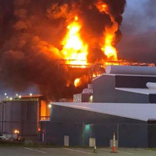 Flames rise from the plant