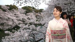 People admire cherry blossoms at Chidorigafuchi, Tokyo, in March 2007.