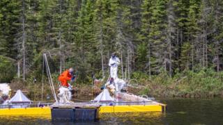 Los investigadores arrojan betún en un lago