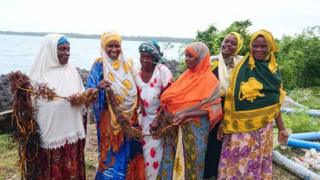 Wakulima wa mwani katika maji ya kirefu wameanza mafunzo ya kuogelea pia ili wasipate shida baharini