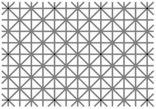 Ninio, J. and Stevens, K. A. (2000) Variations on the Hermann grid: an extinction illusion. Perception, 29, 1209-1217