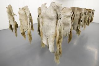An installation by South African artist Nandipha Mntambo using cow hides on exhibit at the Zeitz Museum of Contemporary Art Africa.