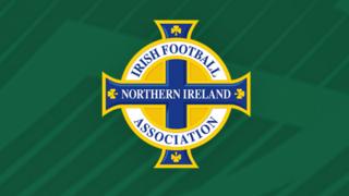 The Irish FA is the Northern Ireland football governing body