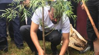 ጠቅላይ ሚንስትር ዐብይ አሕመድ ችግኝ ሲተክሉ