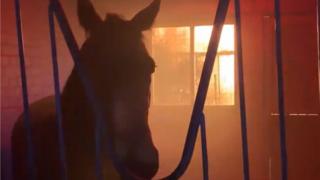Fire at stable