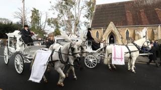 Horse drawn carriage