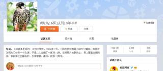 Sina Weibo скриншот
