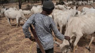 Darandaran fulani kan duro pẹlu agbo ẹran rẹ