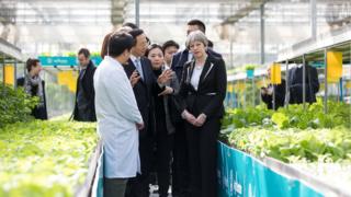 Премьер-министр Великобритании Тереза ??Мэй беседует с сотрудниками, прогуливаясь по оранжерее, полной салата, в научно-исследовательском центре Agrigarden в Пекине, Китай