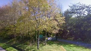y gwrthdrawiad ger Llangadog