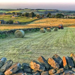 Farmland in Penistone, South Yorkshire