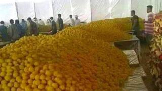 लड्डू