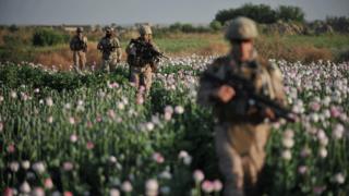 ABD uyuşturucuya karşı mücadele için Afganistan'da milyarlarca dolar harcadı