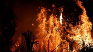 Incendio en la Amazonía.