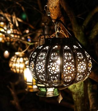 Lanterns hanging from a tree