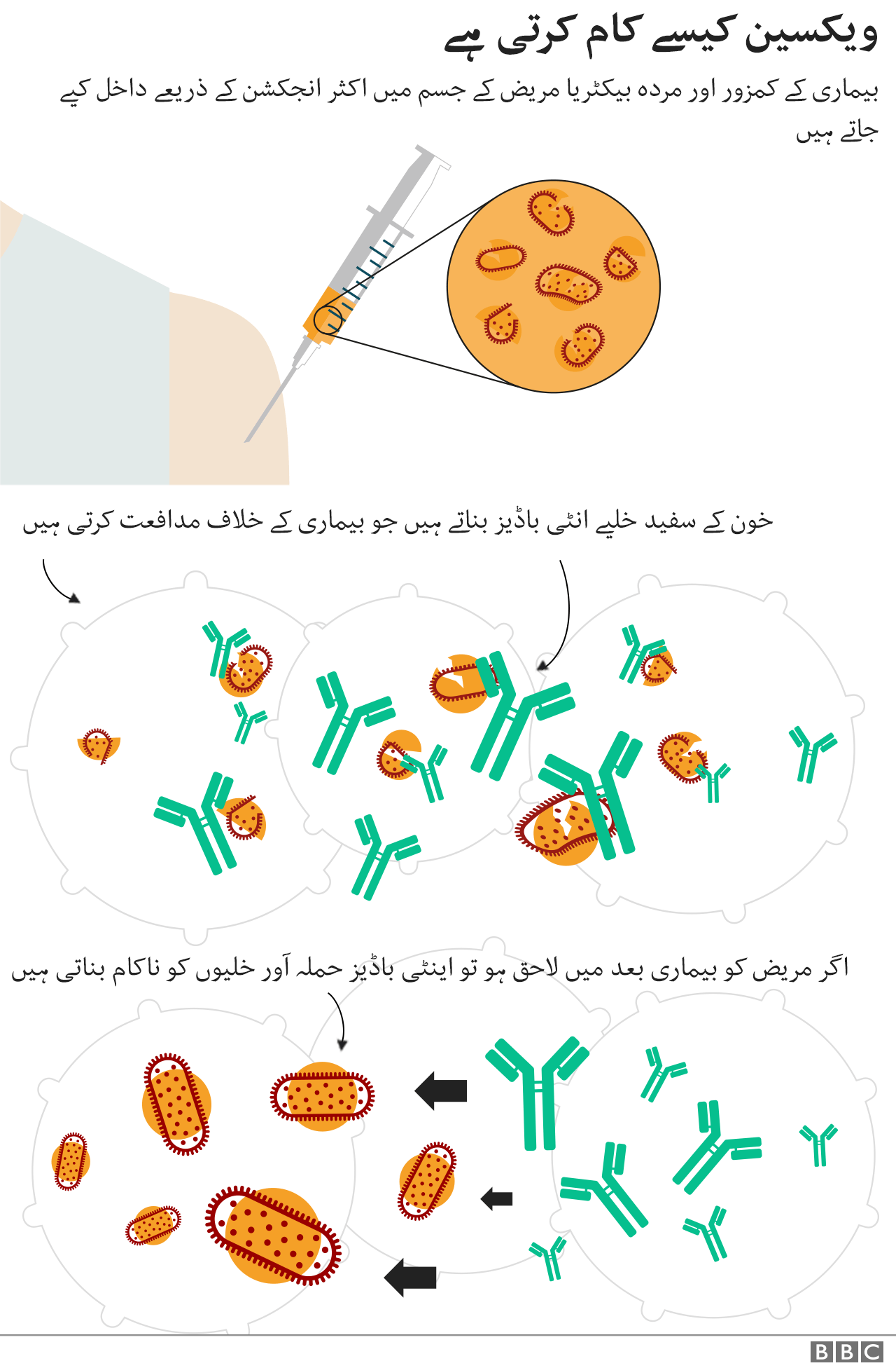 ویکسین