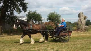 RDA carriage riding