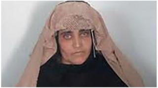 Sharbat Gula