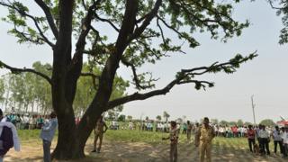 Villagers and police collect near tree where the girls were found in Badaun