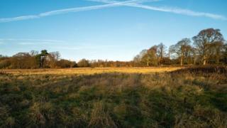 Land off Woolton Road and Allerton Road