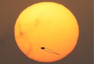 A kite hovering in the air is silhouetted against a low, full sun.