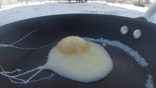 卵