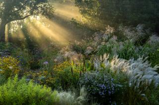 First Rays by Volker Michael