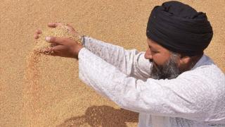 ਕਣਕ