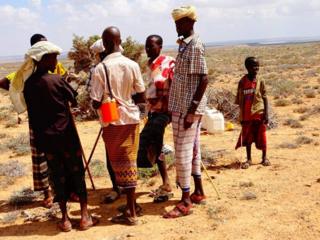 Ukame: Mifugo wengi waangamia Puntland Somalia