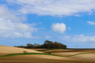 Fields