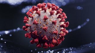 Coronavirus