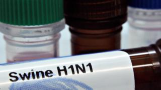 Swine flu