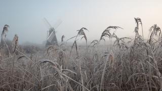 Wicken Fen in Cambridgeshire