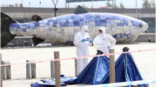 big fish and forensics