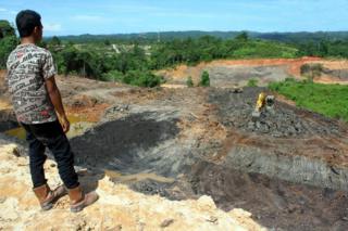 Dituduh ilegal dua perusahaan tambang batu bara 