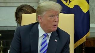 Bwana Trump anasema kuwa wazo hilo halikuzungumziwa na maafisa wa ulinzi.